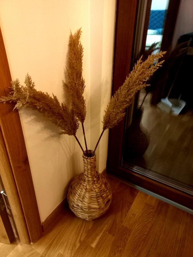 Zlatibor Apartman Luxury & Spa Dijana Εξωτερικό φωτογραφία